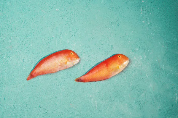 Bellissimo pesce di mare rosso tropicale Pesce luna pescato su uno sfondo di colore turchese o tiffany. Xyrichtys novacula. Composizione del pesce — Foto Stock