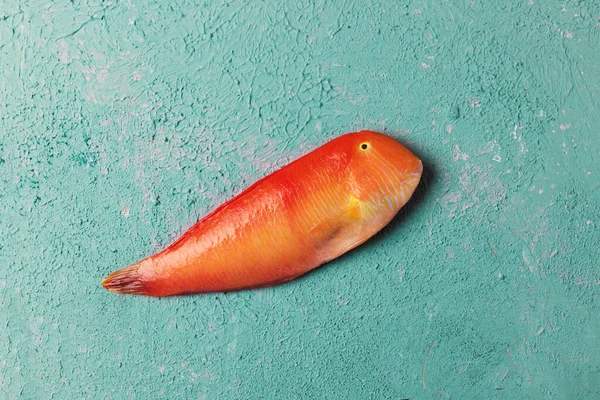 Bellissimo pesce di mare rosso tropicale Pesce luna pescato su uno sfondo di colore turchese o tiffany. Xyrichtys novacula. Composizione del pesce — Foto Stock