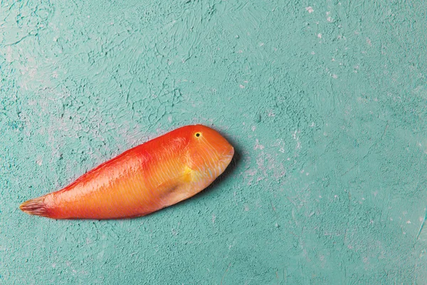 美丽的热带红海鱼，蓝绿色或淡黄色背景上的淡淡的拉索鱼。 Xyrichtys novacula 。 鱼类构成 — 图库照片