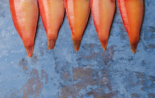 Belo peixe tropical vermelho Pearly razorfish em um fundo azul. Xyrichtys novacula, frutos do mar do Mar Mediterrâneo. Padrão de peixe — Fotografia de Stock