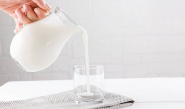 Beyaz arka planda kefir taneleri olan ev yapımı mayalanmış içecek kefir, doğal mayalanmış gıda ve bağırsak sağlığı kavramı