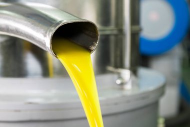 Ekolojik ekstra bakire zeytinyağı üretimi modern teknoloji, çıkartma ve filtreleme ile