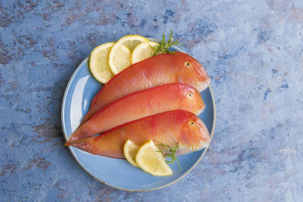 Beautiful tropical red sea fish Pearly razorfish on a blue background. Xyrichtys novacula, seafood from Mediterranean Sea. Fish pattern — ストック写真