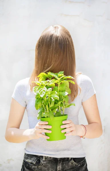 The concept of a healthy diet, freshness, rebirth and spring. Yo — Stock Photo, Image