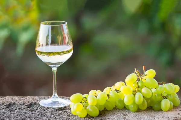 Ein Glas Weißwein Mit Trauben Freien — Stockfoto