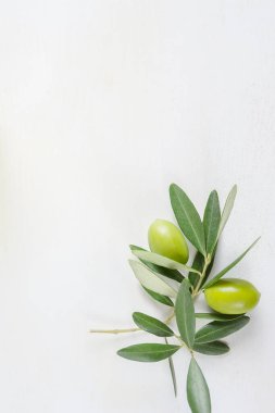 Beyaz arkaplanda zeytin dalı Kopya alanı, üst görünüm, dikey