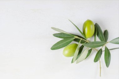 Beyaz arkaplanda zeytin dalı Kopya alanı, üst görünüm, yatay