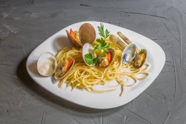 Gri arka planda spagetti, İtalyan mutfağı, salento, apulia