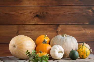 Ahşap arka planda balkabakları, metin için kopyalama alanı. Cadılar Bayramı, Şükran Günü ya da mevsimsel sonbahar, tasarım yatay modelleme