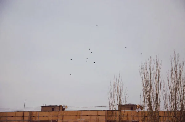 Çok Katlı Eski Bir Rusların Evleri Çatı Merdivenler Iletişim Siyah — Stok fotoğraf