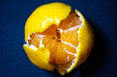 Siyah arka planda parlak bir mandarin. Siyah arka planda mandalina derileri. Mandarin ve derileri makroda. Dilimler, mandalina telleri. Makroda turunçgil meyvesi.