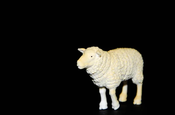 黒い背景にプラスチック製のおもちゃの羊 現実的なおもちゃコピースペース — ストック写真