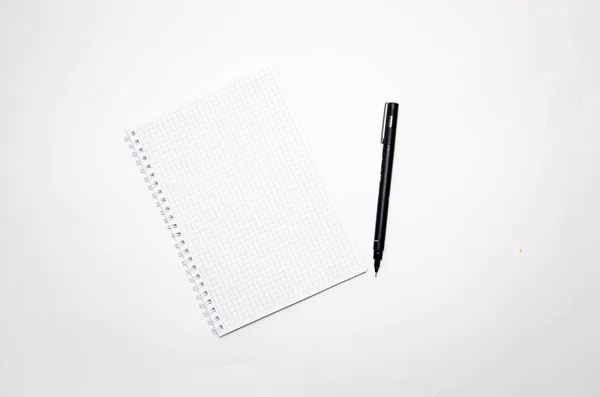 Squared Notebook Black Pen White Background Record Ideas Notes Plans — Stock Photo, Image