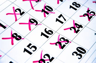 Bir el takvime kırmızı işaretli 16 numaraya bir çember çizer. Sayıları karaladım. Işıkla işaretlenmiş sayılar. Planlar, notlar, toplantılar için takvim. İş takvimi. Boşluğu Kopyala