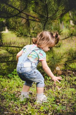 Mayıs 2020. Kiev Ukrayna. Parkta oynayan küçük bir kız, güneşli bir günde kot tulumuyla çiçek topluyor ve üzerinde de parmak izi olan bir tişört giyiyor.