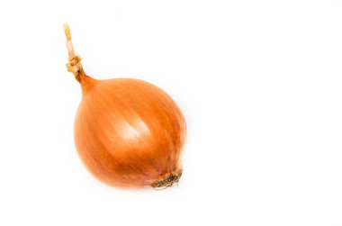 Large onion on a white plate in macro lies on the ass, root