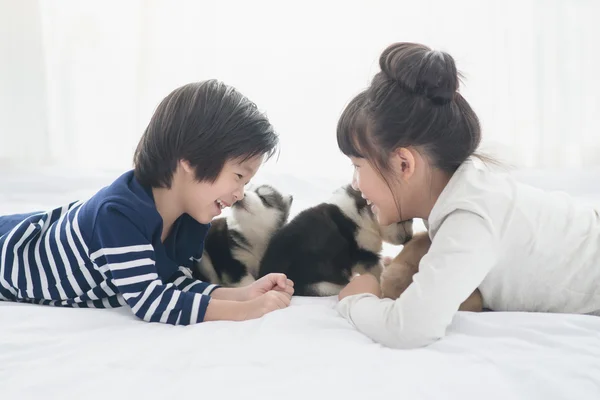 Aziatische kinderen spelen met puppies — Stockfoto