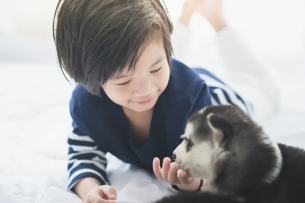 Lindo asiático niño jugando con siberiano husky cachorro — Foto de Stock