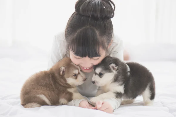 Asiatin liegt mit zwei sibirischen Husky-Welpen im Bett — Stockfoto