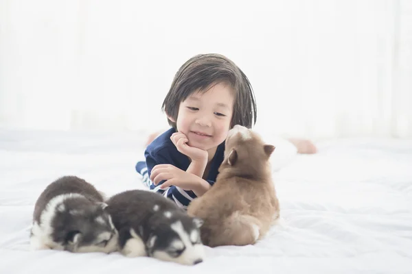 Азиатский ребенок и сибирские хаски щенки лежат — стоковое фото