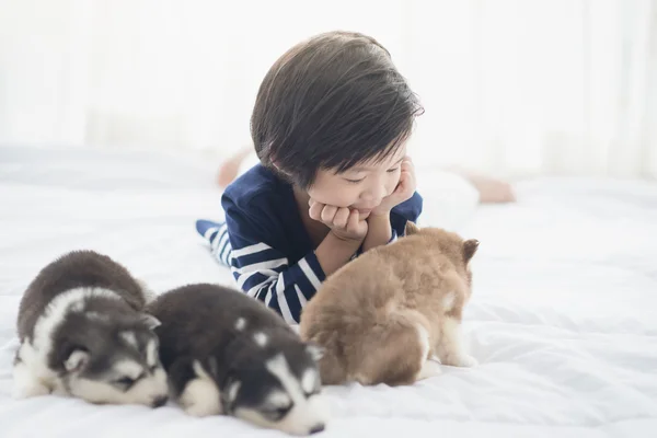 Aziatische kind en Siberische husky puppies liegen — Stockfoto