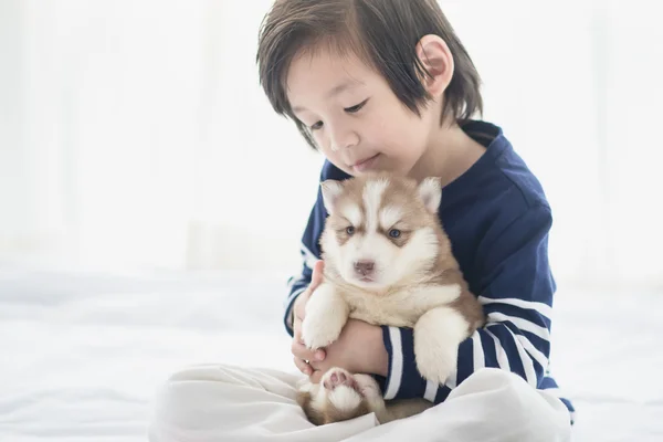 Aziatische kind en Siberische husky puppies liegen — Stockfoto