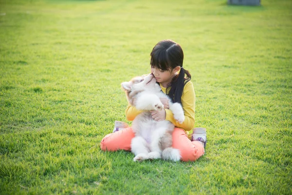 Asiático chica jugando con siberiano husky cachorro — Foto de Stock