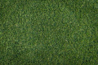 Yeşil Çimen Arkaplanı