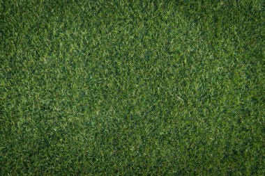 Yeşil Çimen Arkaplanı