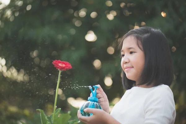 Азиатка поливает красный цветок в саду — стоковое фото