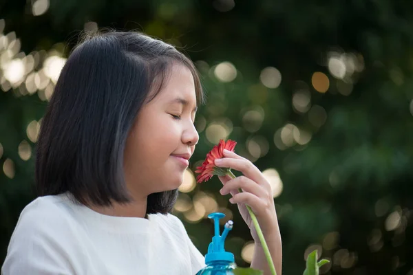 Asiatisk tjej luktar daisy blomman utomhus — Stockfoto