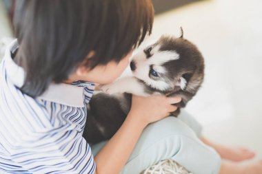 Siberian dış yapraklar köpekle oynayan sevimli Asya çocuk
