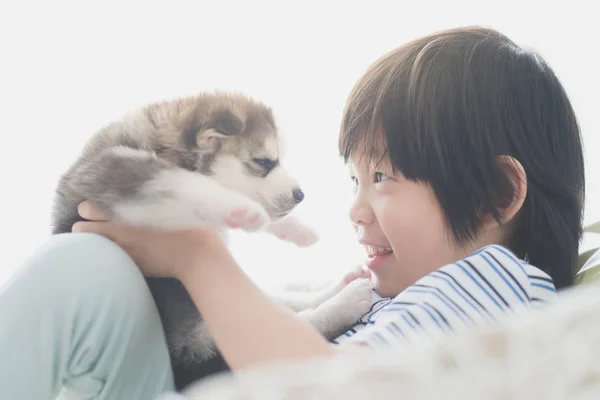 Lindo asiático niño jugando con siberiano husky cachorro — Foto de Stock