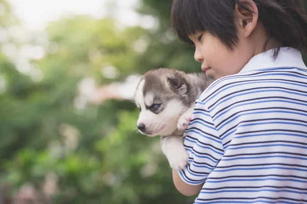 Lindo asiaan niño holding siberian husky — Foto de Stock