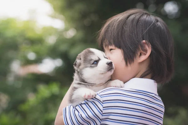 Ładny asiaan dziecko trzymając siberian husky — Zdjęcie stockowe