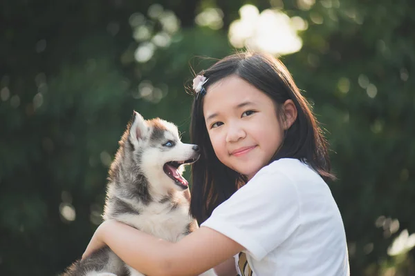 Krásná Asijská dívka si hraje s sibiřský husky štěně v pa — Stock fotografie