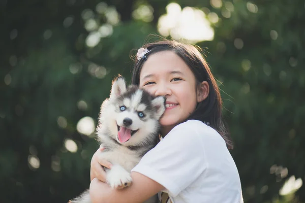 Sibirya husky yavrusu PA ile oynarken güzel Asyalı kız — Stok fotoğraf