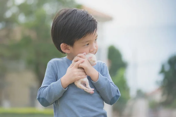 Lindo asiático chico holding un gatito — Foto de Stock
