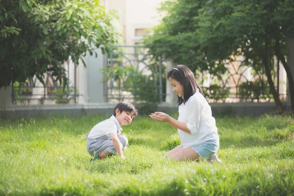 Leuke Aziatische Kinderen Spelen Gras — Stockfoto