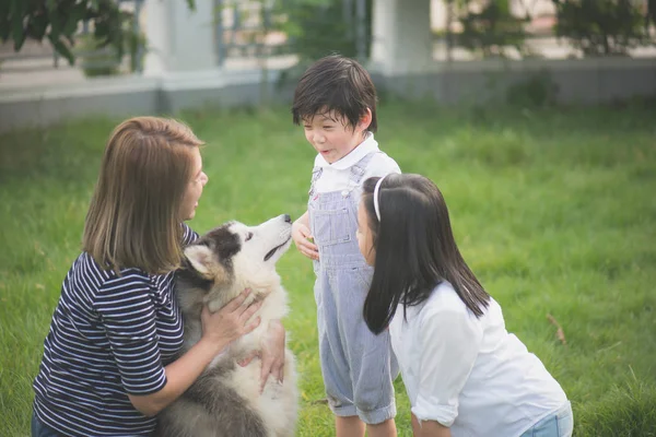 庭でシベリアン ハスキー犬と遊んで幸せなアジア家族 — ストック写真