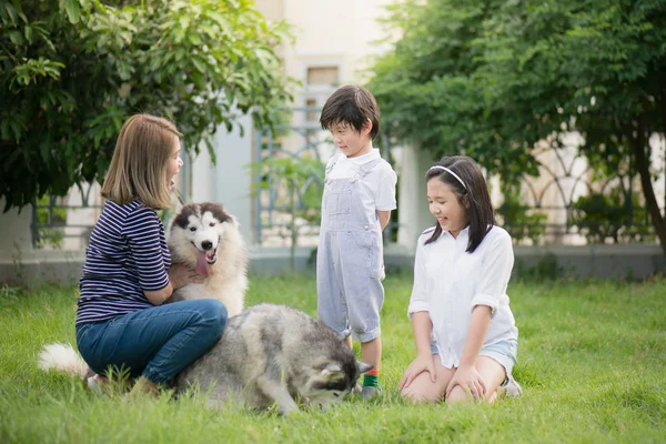 Sibirya Husky Köpek Bahçede Oynarken Mutlu Asya Aile — Stok fotoğraf