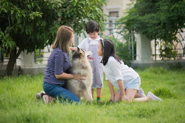 Família Asiática Feliz Brincando Com Cão Husky Siberiano Jardim — Fotografia de Stock