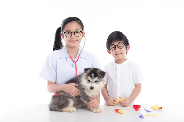 Asian Children Playing Veterinarian Siberian Husky Puppy White Background Isolated — Stock Photo, Image