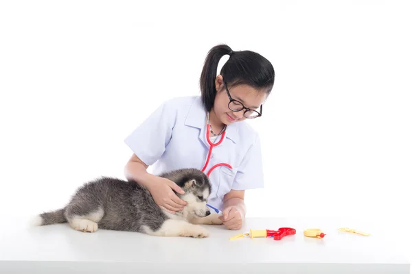 Asiatisk Flicka Som Leker Veterinär Med Siberian Husky Valp Vit — Stockfoto