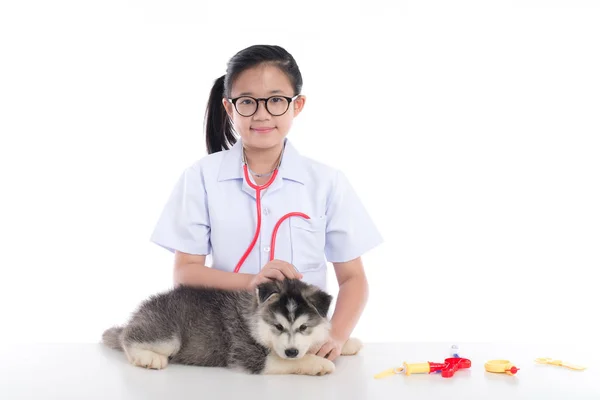 Asian Girl Playing Veterinarian Siberian Husky Puppy White Background Isolated — Stock Photo, Image