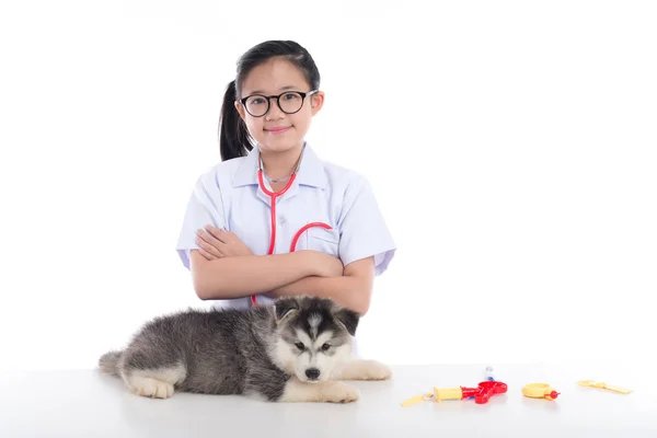 Asian Girl Playing Veterinarian Siberian Husky Puppy White Background Isolated — Stock Photo, Image