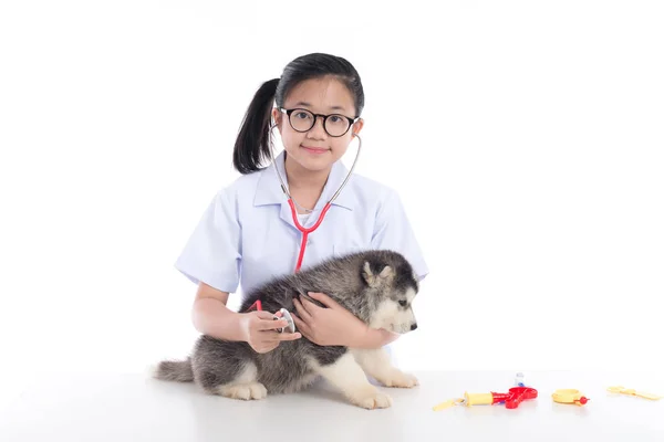Asian Girl Playing Veterinarian Siberian Husky Puppy White Background Isolated — Stock Photo, Image