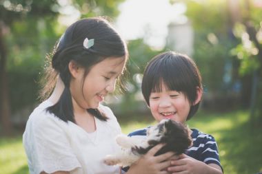 Asyalı çocuk parkta Sibirya husky yavrusu ile oyun