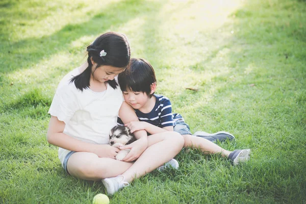 Azjatycka Dzieci Bawiące Się Szczeniak Husky Syberyjski Parku — Zdjęcie stockowe