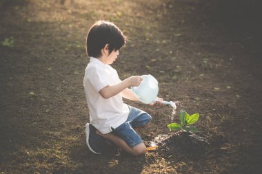 Şirin Asyalı çocuk genç ağaç sulama